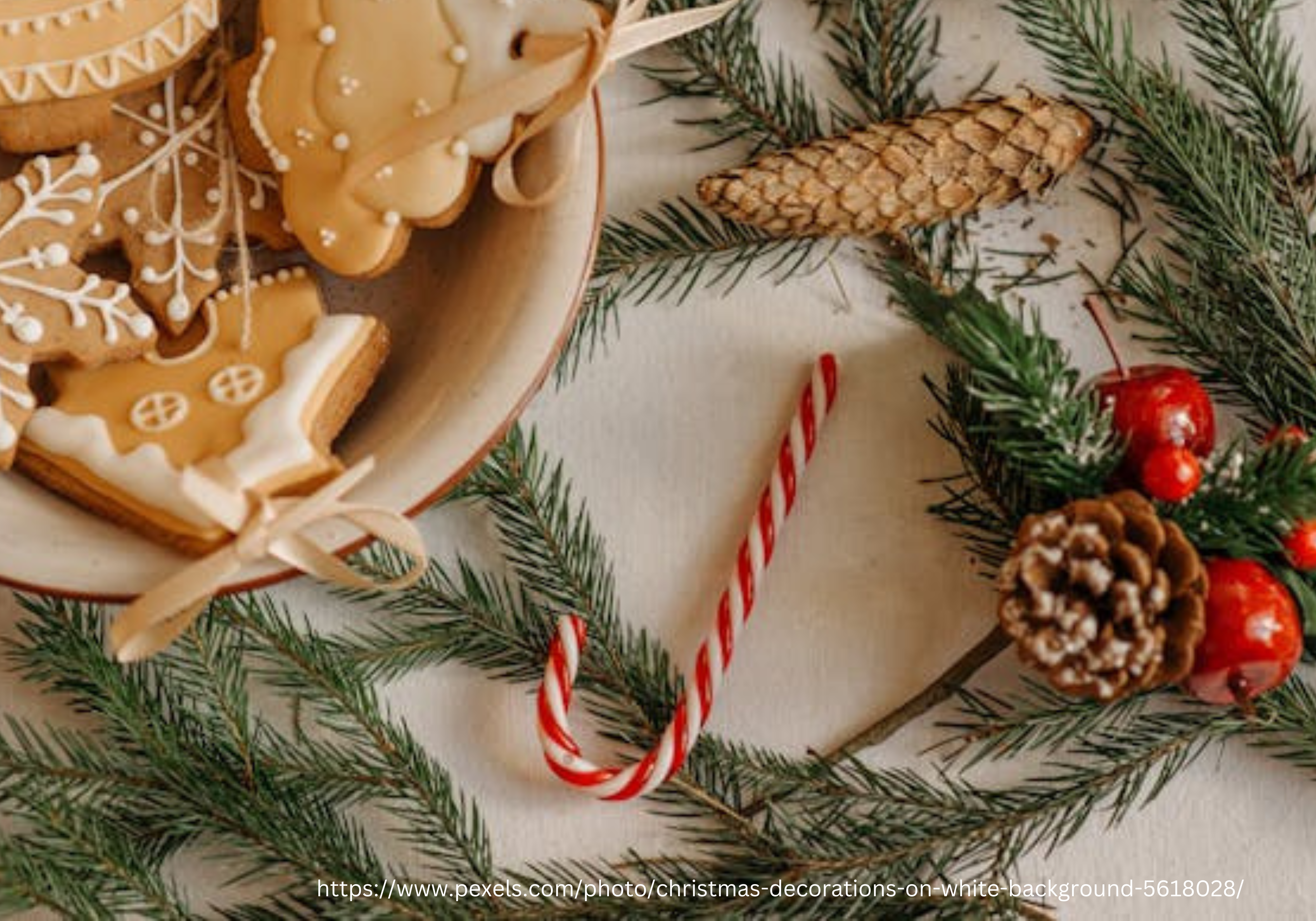 Great Thanks and a Happy Holiday Season, Merry Christmas and Happy New Year 2025!